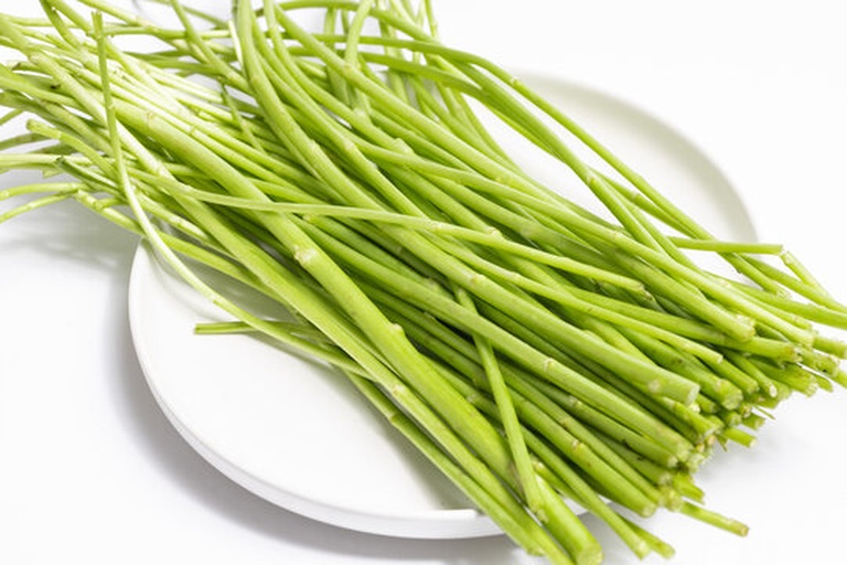 圆包菜整体外观特写