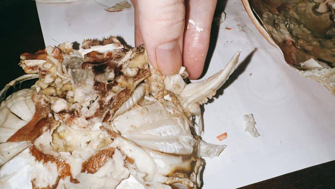 蒸熟母大闸蟹完整解剖示意图：标注关键部位——1. 蟹黄主体（深褐油膏状）；2. 生殖腺黑色外膜（紧贴腹甲内壁的紫黑薄膜）；3. 蟹胃（口器后方三角黑囊，已标红叉示意剔除）；4. 蟹腮（灰白羽毛状，已标红叉）