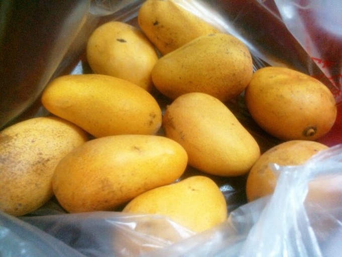 一个明亮的室内水果摊位上摆放着多个金黄色的新鲜芒果,果皮光滑有光泽,背景为绿色叶子和少量其他热带水果,光线柔和,突出芒果的鲜艳色泽 冬季市场中的新鲜芒果特写