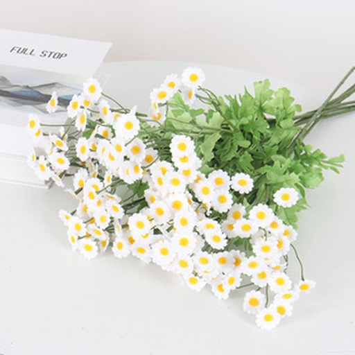 白色小雏菊‘Snowdrift’在婚庆与社交媒体场景中的典型应用,体现其纯白花色带来的高级感与传播力 ‘Snowdrift’雏菊在高端花礼场景应用:纯白雏菊与银叶菊、洋甘菊组成极简风手捧花,置于亚麻布背景上;右侧手机界面显示小红书笔记标题《原来雏菊的颜色有哪些?答案只有这一种!》