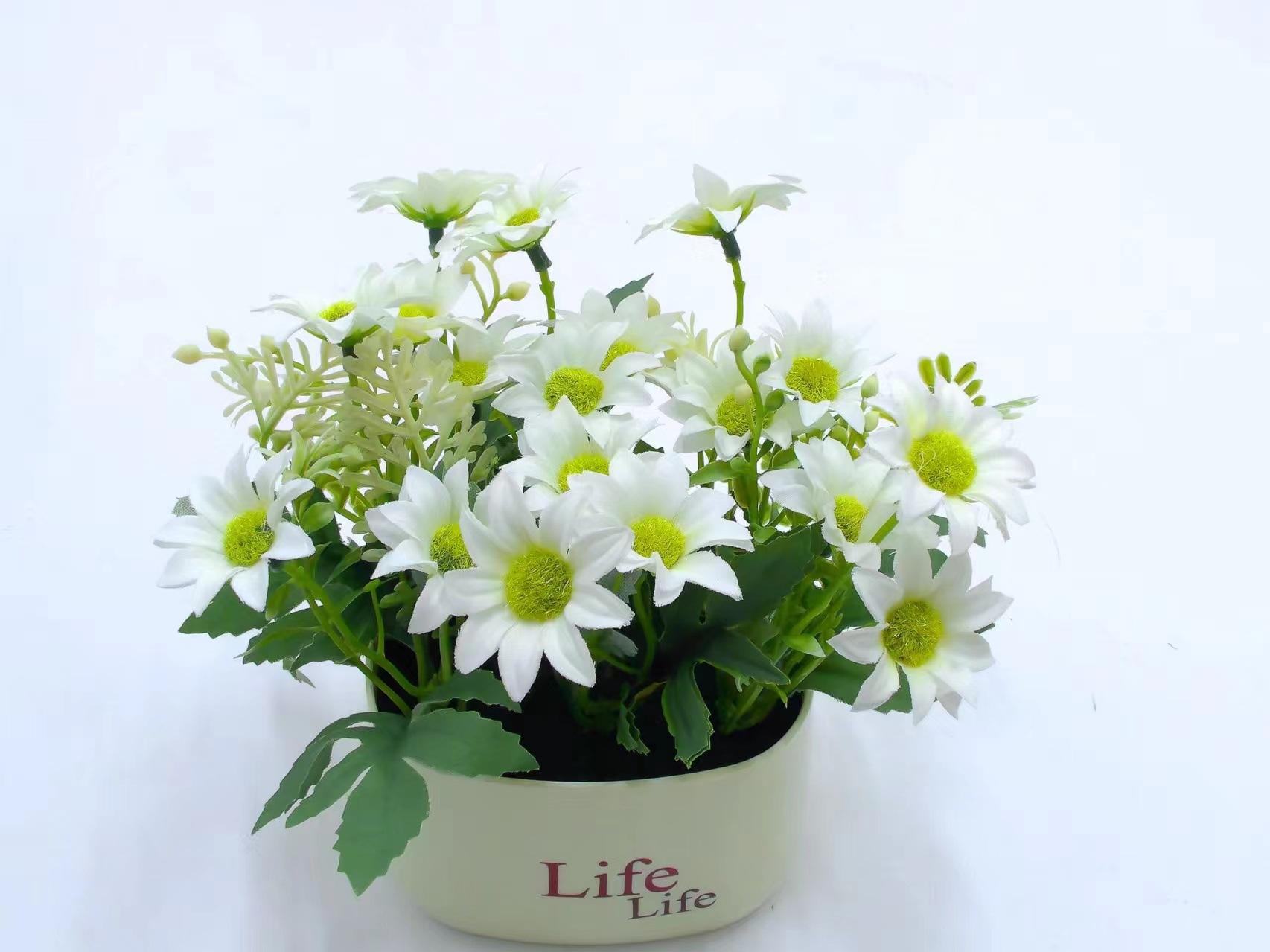 一组搭配精美的白色雏菊盆栽,置于木质阳台桌面上,周围配有小型多肉植物和麻布标签,花盆为浅灰色陶土材质,整体呈现北欧简约风格,适合家居装饰场景 白色雏菊盆栽组合展示