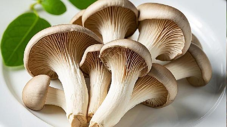 新鲜杏鲍菇整齐排列在白色托盘上,表面光滑呈乳白色,菌盖微凸,菌柄粗壮饱满,背景为浅色木质厨房台面,旁边配有绿色香菜和不锈钢刀具 杏鲍菇特写镜头