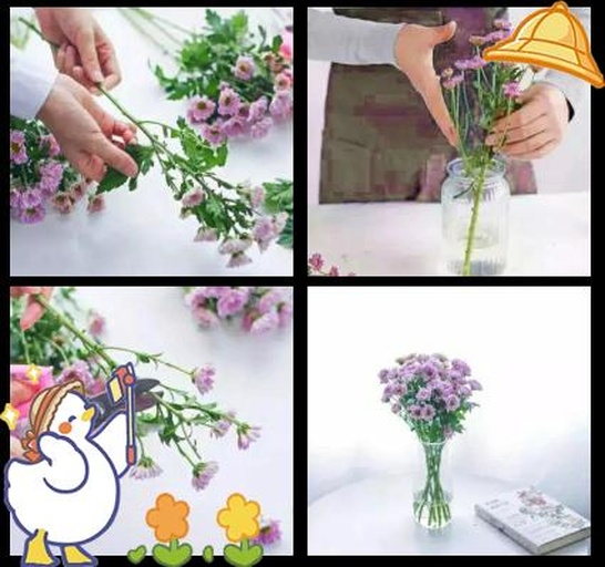 百合花枝水插操作图