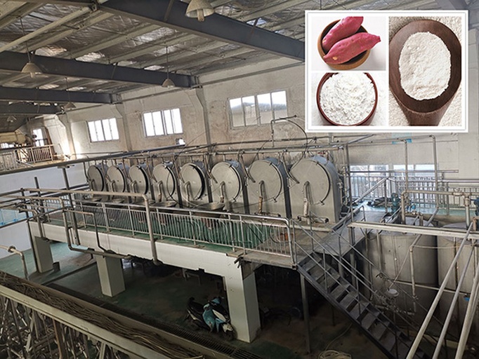 一座现代化甘薯淀粉加工厂内景,展示自动化清洗、破碎、分离、沉淀和干燥设备组成的完整流水线,工人正在监控控制系统,地面整洁无积水,体现高标准加工环境 现代化甘薯淀粉加工厂生产线