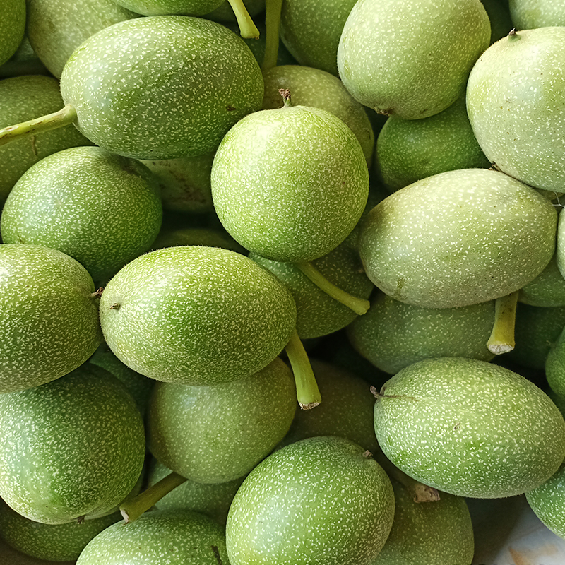 青皮核桃整体外观特写