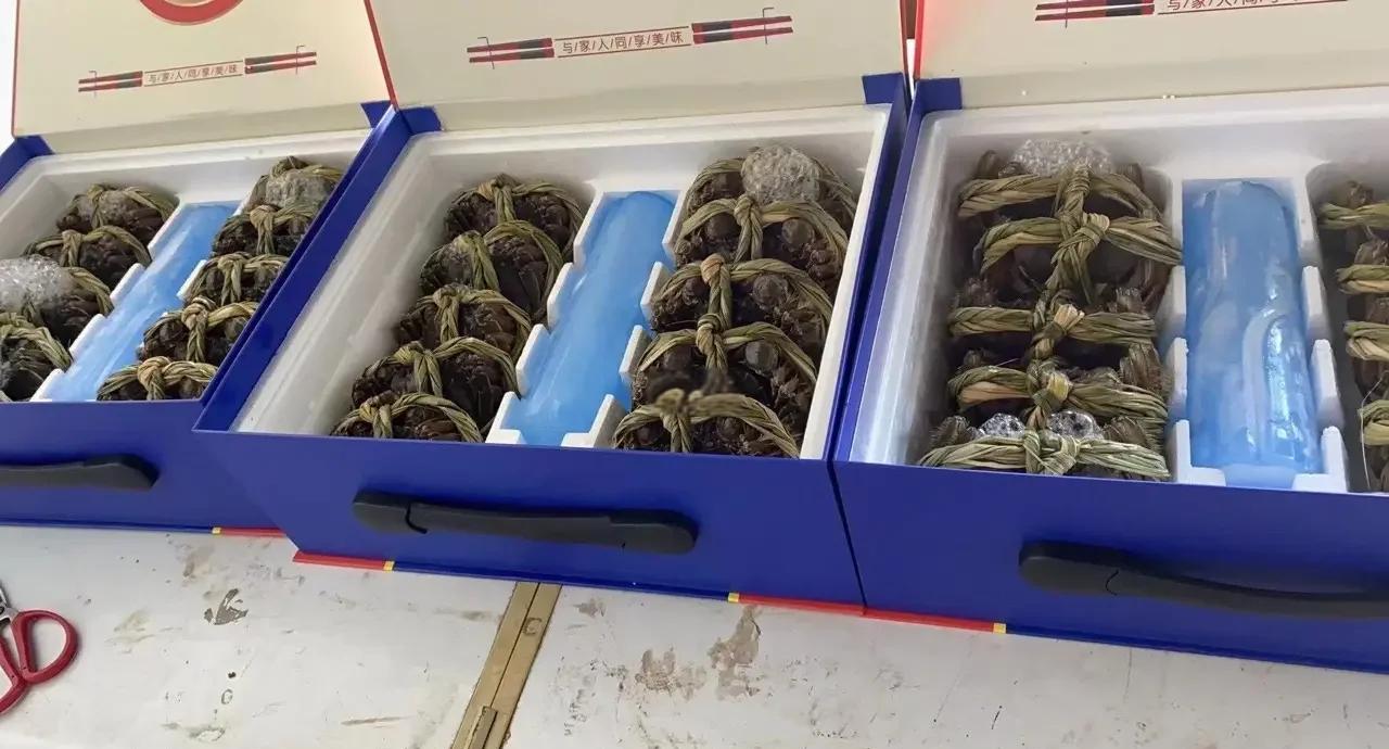 阳澄湖大闸蟹礼盒