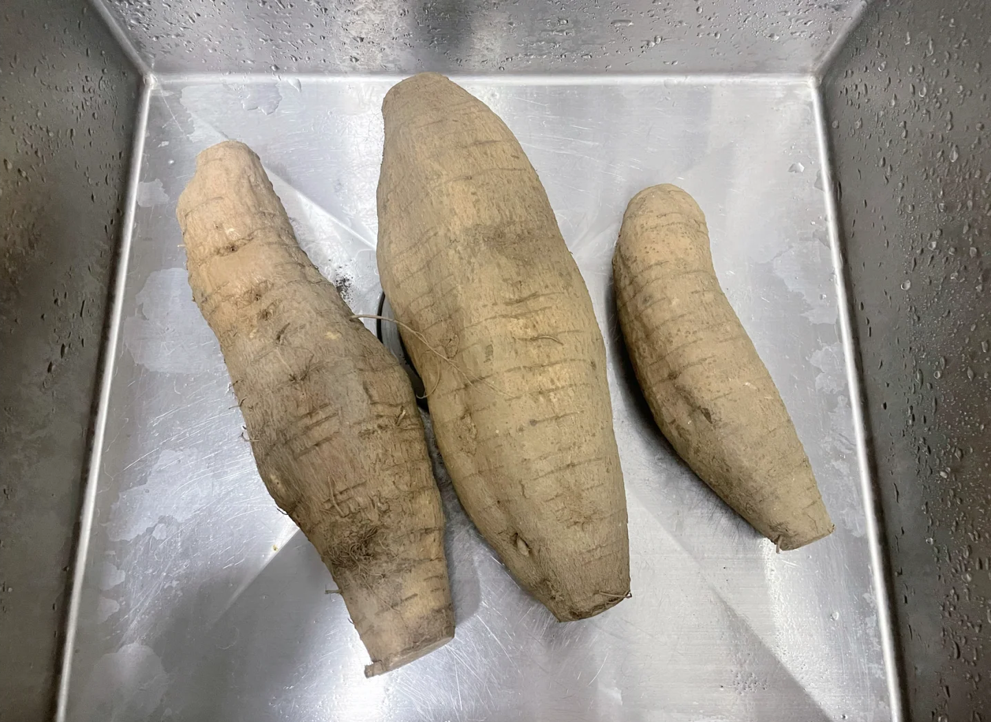 一位家庭主妇在厨房水槽边清洗一根新鲜的棒山药,旁边放置菜板和刀具,案台上还有已经切好的山药段,展示日常烹饪准备过程 家庭厨房中正在清洗和切段的棒山药