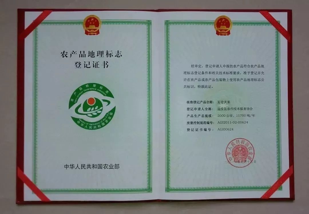 国家农产品地理标志登记证书实物标签高清图,重点展示AGI编号与官方认证标识,强化品种权威性与溯源可信度 荔浦香芋地理标志认证标签特写:蓝白底色圆形标,中央为“荔浦香芋”汉字与拼音,外环标注“中华人民共和国农产品地理标志”及登记号AGI2019-01-2682