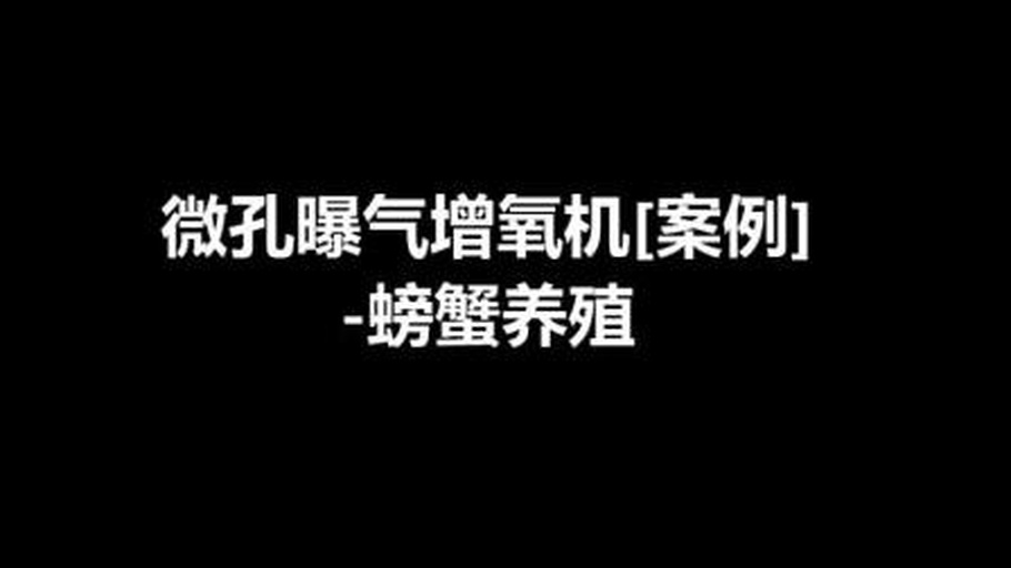 图片说明:一张清晰的技术示意图,展示一个大闸蟹养殖池塘底部安装的微孔曝气系统。图中包含空气压缩机、主输气管、分支软管以及铺设在池底的纳米曝气管,气泡从管壁细孔中均匀释放上升。同时标注了各部件名称及安装高度,强调距离池底10厘米以上以防止淤泥覆盖 大闸蟹微孔曝气增氧系统结构示意图