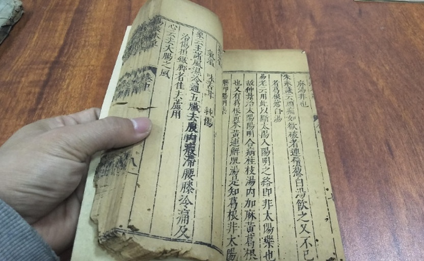 参苓白术丸古籍出处插图