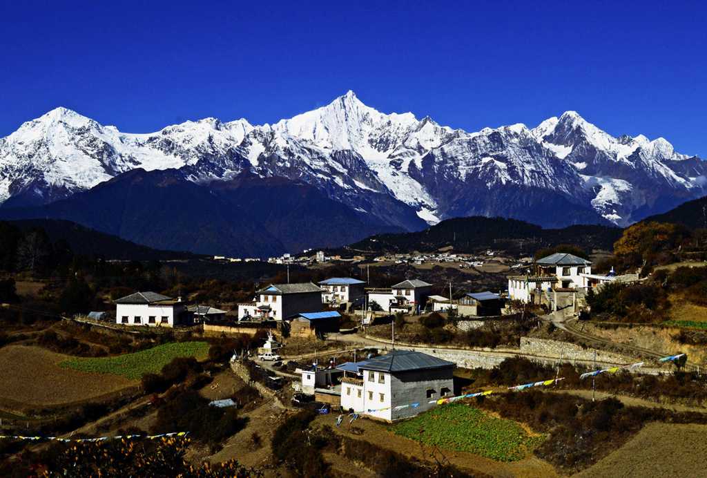中国四川雅江松茸采集现场