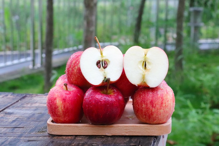 苹果纵向剖面图,标注果皮、果肉、果核区域,用不同颜色标识花青素(集中在红星苹果红色外皮)、维生素C(均匀分布于果肉)、膳食纤维(主要位于果肉细胞壁),背景为实验室显微结构插画风格 苹果横切面营养分布示意图