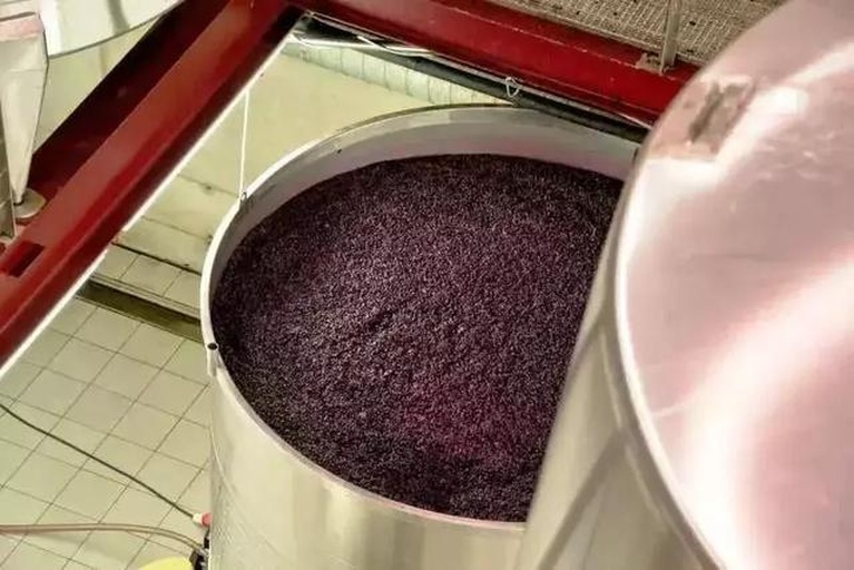 显微图像展示酿酒葡萄的横截面:外层为深色厚实果皮,富含紫红色素与点状白藜芦醇晶体;中间为浓缩果肉,含有高密度糖分颗粒;内部为两枚棕色硬质种子,表面有网状纹理。旁边标注化学成分分布柱状图,显示白藜芦醇、原花青素、单宁在各部位的相对浓度 葡萄皮与葡萄籽显微结构示意图
