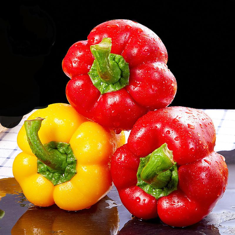 高清微距摄影:新鲜红椒特写,三色对比展示,突出表皮蜡质光泽、紧实质感、翠绿鲜活蒂部及自然纵棱结构,背景营造天然厨房氛围 特写镜头:三颗完整带蒂红椒并排摆放,一颗为亮红色、一颗为橙红色、一颗为紫红渐变色,表皮光滑油亮,可见细微蜡质反光和清晰纵棱,蒂部翠绿挺括,背景为原木砧板与亚麻布