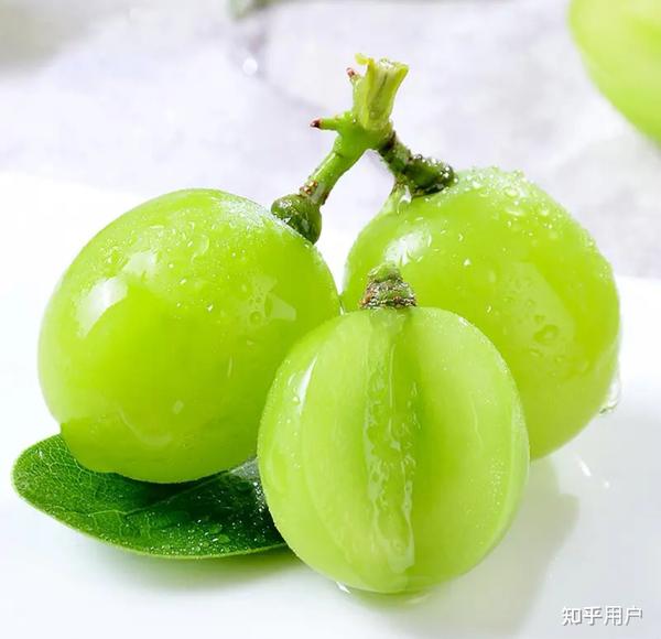 山姆玫瑰青提果实特写