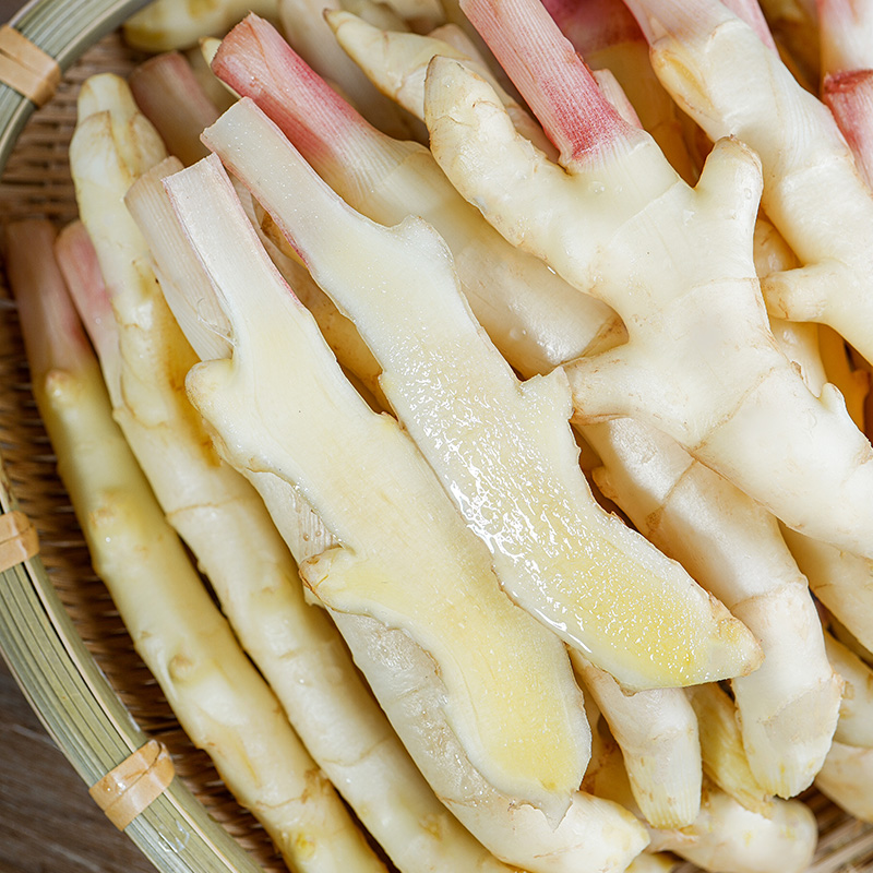 嫩姜凉拌菜特写