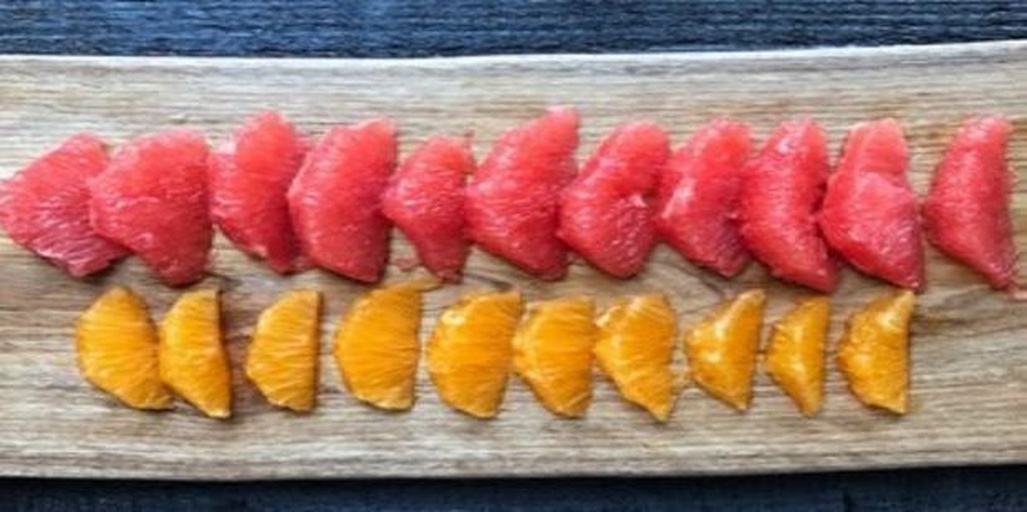 西柚水果拼盘场景