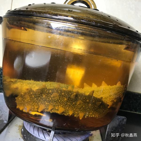 一锅热气腾腾的中式炖汤特写,汤色清亮微黄,中间放置一段泡发后的紫褐色海参,周围环绕枸杞、姜片和鸡肉块,旁边配有筷子和瓷勺,背景虚化的餐桌上摆放着其他家常菜肴 烹饪成品展示