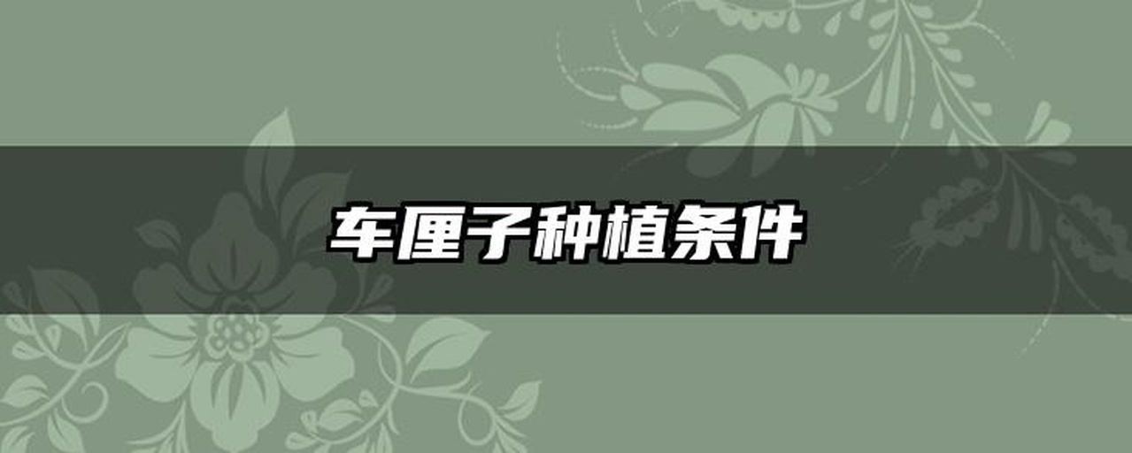 车厘子果园选址示意图:展示理想地形、光照与排水条件 车厘子果园选址示意图