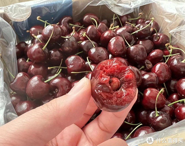 车厘子品质对比图：左侧为正常果肉，右侧为腐败发黑果肉