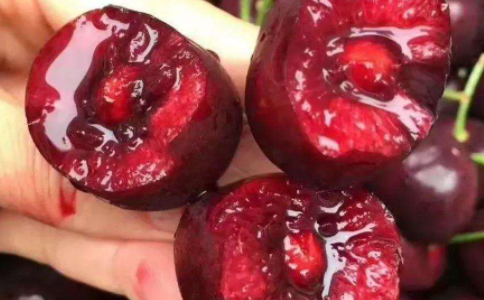 车厘子切面特写图