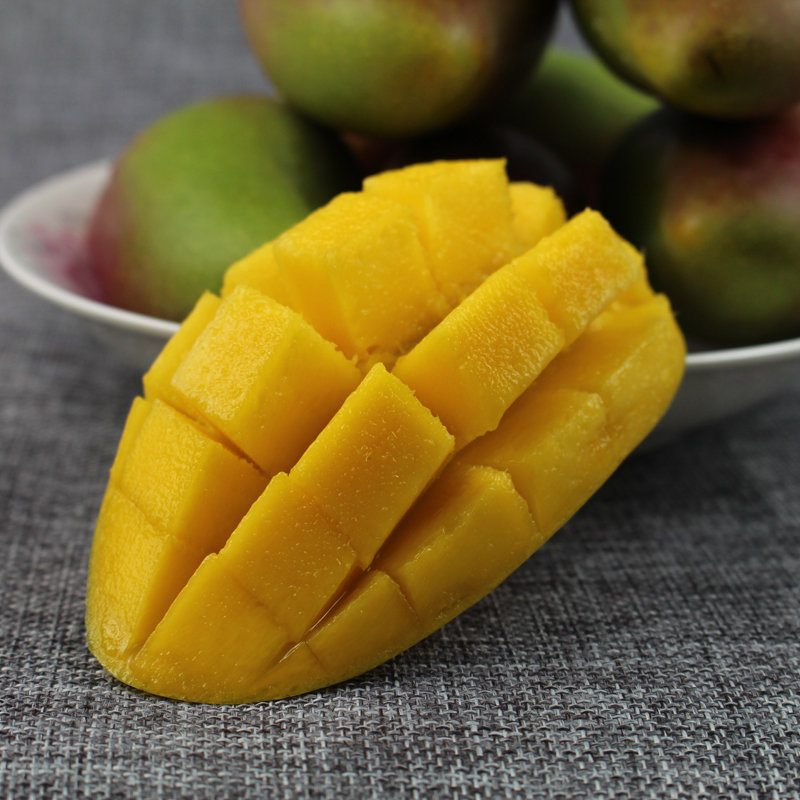 干燥芒果仁切片与粉末状态对比图