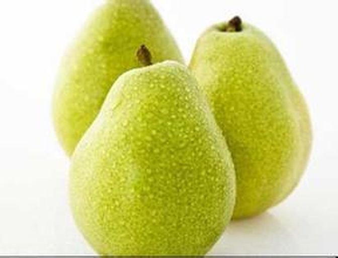 茌梨果实特写图