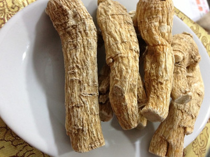 沙参根干品特写,展示其质地与颜色细节 沙参根干品特写