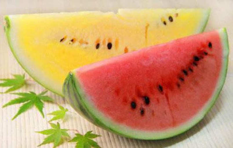 两个切开的西瓜并排摆放,左侧为红瓤西瓜,果肉呈鲜红色,纹理清晰;右侧为黄瓤西瓜,果肉呈明亮的金黄色,质地均匀,背景为绿色藤叶和阳光照射下的田园环境 外观对比图