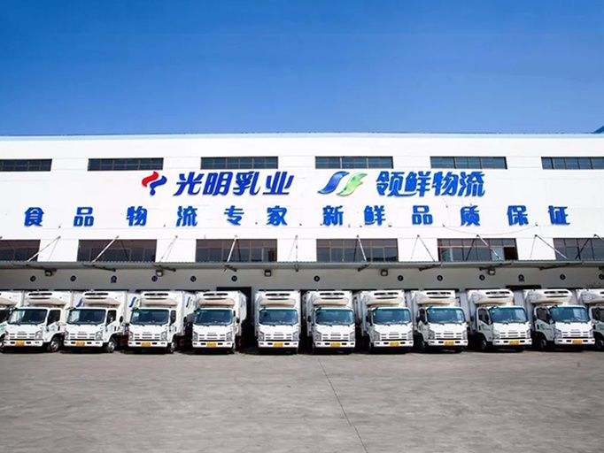 矮马挤奶作业现场