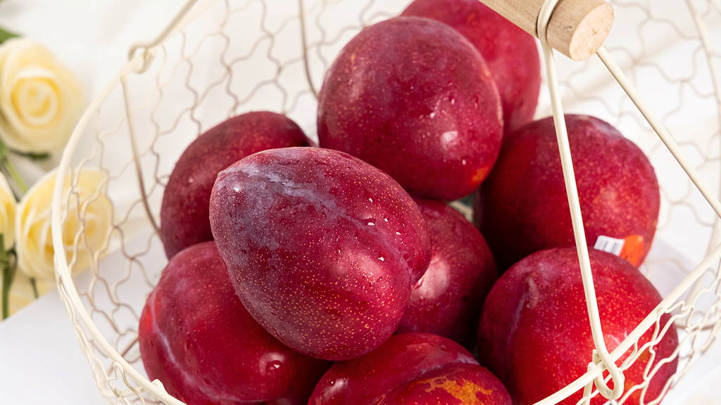 一颗成熟的西瓜红李子放在白色背景上,表面覆盖白色果粉,果皮呈深紫红色;旁边摆放一颗对半切开的果实,露出内部鲜艳的玫瑰红色果肉,汁水饱满,切面光泽明亮,背景有轻微虚化的果园环境 西瓜红李子整果与切面特写