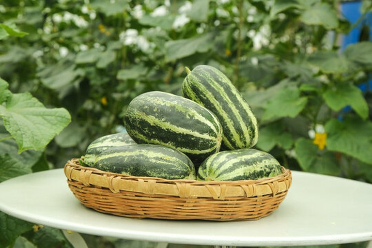 一个中等大小的青绿色甜瓜放置在木质桌面上,表皮为浅青色并带有细微网状纹理,一侧切开露出淡绿色果肉和中心的小型籽腔,背景有柔和自然光照射,营造出清新健康的视觉氛围 青色甜瓜在阳光下的特写