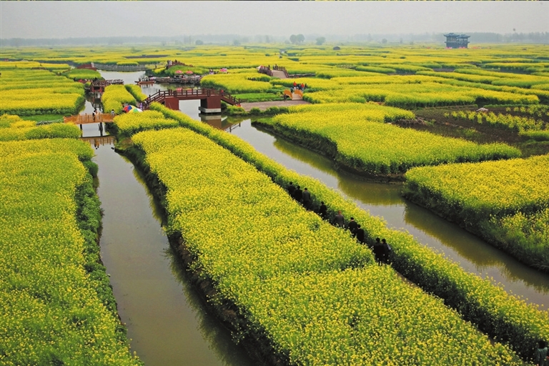 油菜花田与乡村旅游结合,形成“农业+旅游”融合发展新模式 油菜花田与乡村旅游结合实景