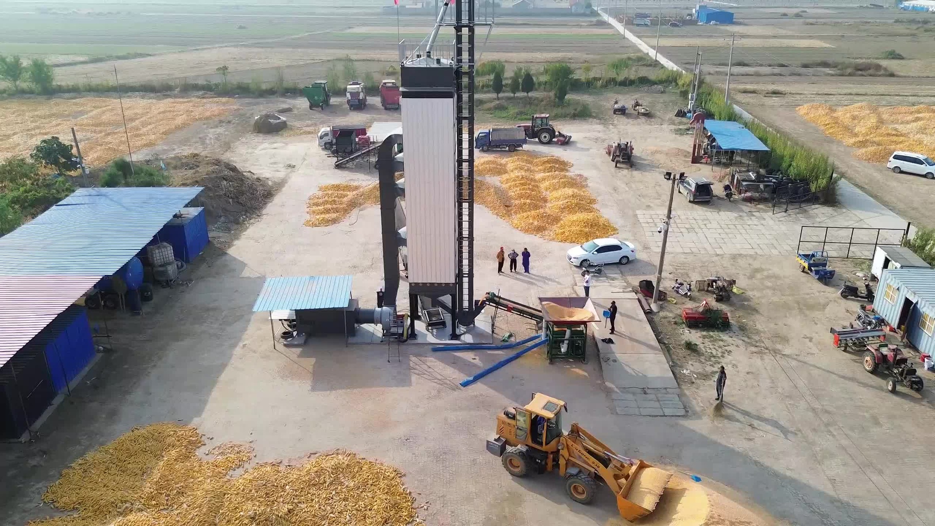 玉米低温循环烘干设备运行图