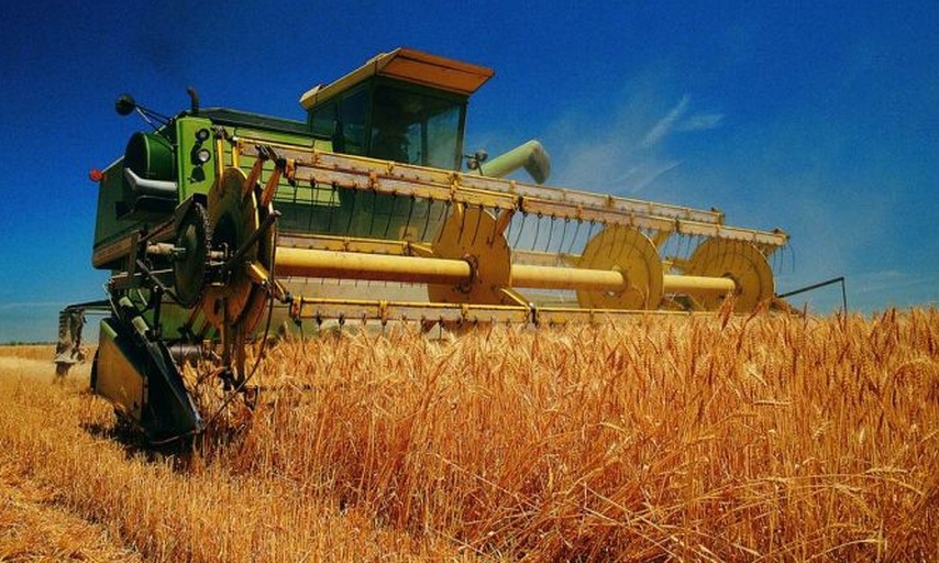 一台现代化联合收割机正在金黄色的小麦田中作业,阳光洒在机器上,背景是蓝天和正在装车的农民 现代化小麦收割场景