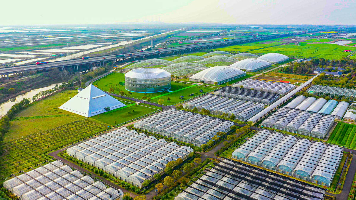 海阳市草莓种植基地航拍图