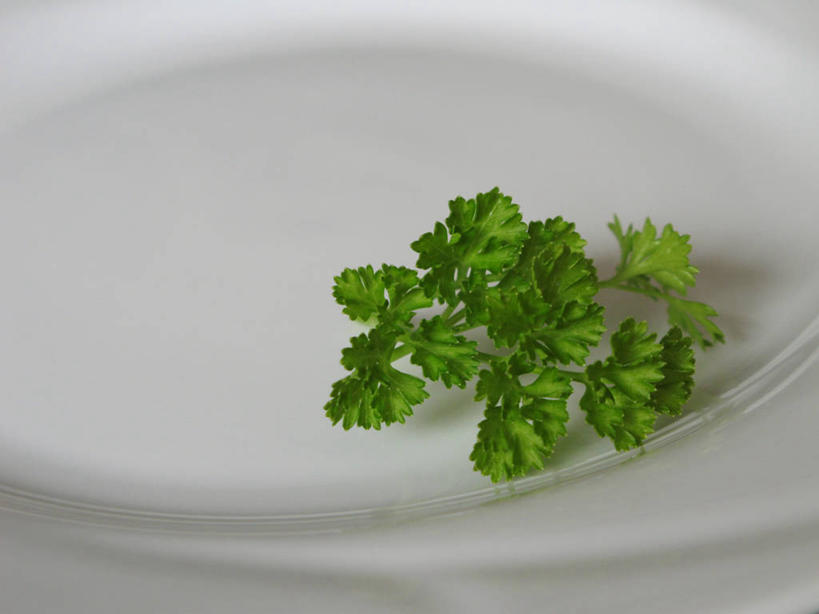 厨房台面上摆放一碗切好的香菜碎末,旁边是一盘切成段的芹菜,背景中有炒锅和调料瓶,体现两种食材在烹饪中的实际应用场景 香菜与芹菜在厨房中的使用场景