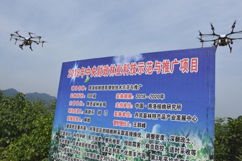 专业实验室中科研人员正用气相色谱仪检测核桃油样，屏幕上显示清晰的α-亚麻酸（ALA）峰图，操作台摆放着标注“2024.10.03采样”的核桃仁样品瓶