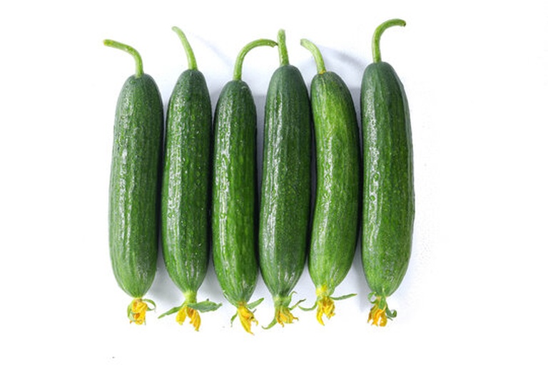 顶花小黄瓜特写