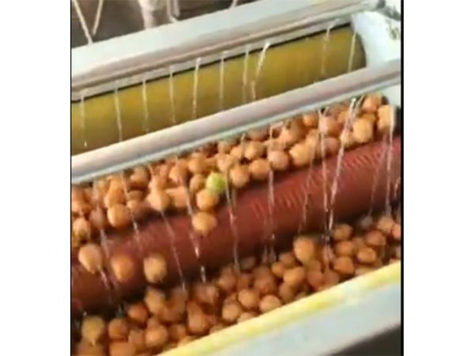 荷兰豆清洗过程