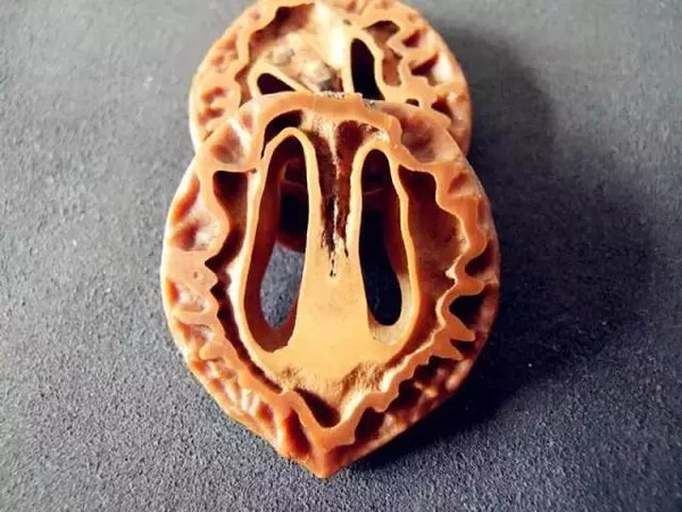 展示油松节剖开后的内部结构,显示树脂结晶与木质纹理 油松节的剖面图