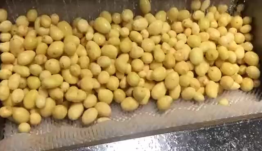 226土豆加工场景