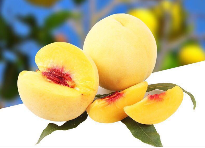 一颗成熟的黄肉蜜桃,表皮带有红晕,果形圆润饱满,切开后果肉呈明亮的金黄色,汁水丰富,背景为果园环境,阳光透过树叶洒在果实上,展现自然生长状态 黄肉蜜桃果实特写