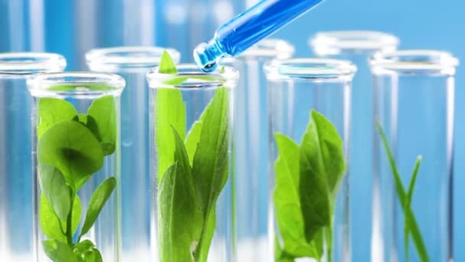 实验室检测人员正在使用分光光度计分析蔬菜提取液