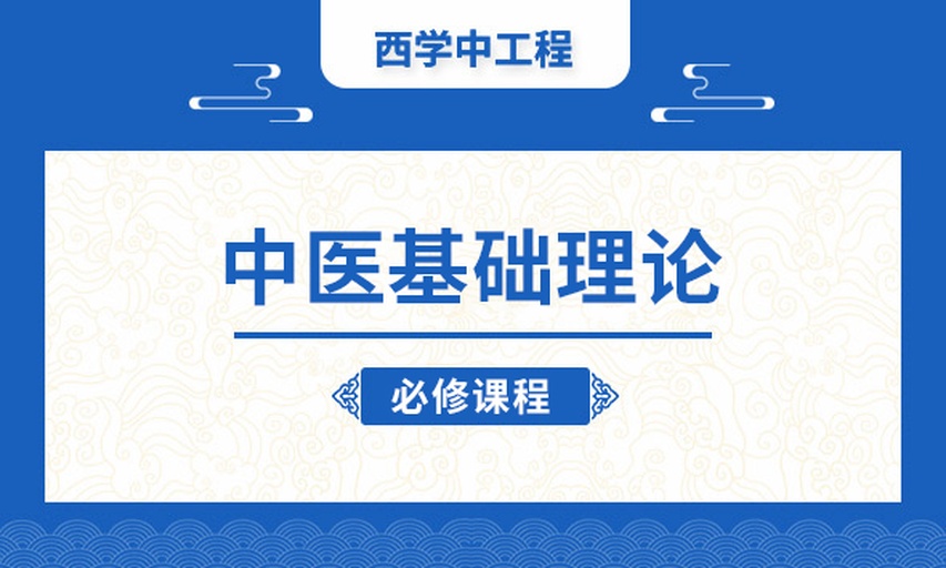 中医师指导场景：白大褂医师手持韭菜红枣水样品，指向身后挂图——左侧为肝肾经循行路线（标注关元、命门、血海穴），右侧为铁代谢通路简图（突出DMT1、Ferroportin、Hepcidin调控节点），体现传统理论与现代机制的融合
