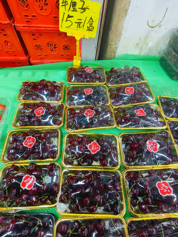 一个露天农贸市场中的樱桃摊位,多个塑料筐内盛满深红色樱桃,摊主正在称重,背景有顾客挑选,标牌写着“本地大樱桃 15元/斤”,体现农产品流通场景的真实性 樱桃季节市场摊位