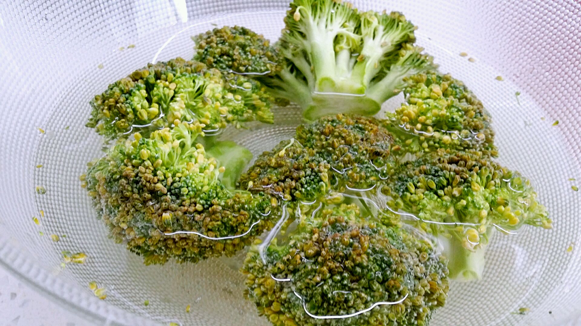 高清微距摄影:刚用流动清水冲洗完毕的西兰花,花球饱满但表面附着明显水膜,茎秆切口处有轻微渗水,体现高湿度状态,用于说明水洗后需立即处理以避免腐败 水洗后湿漉漉的西兰花特写,茎部切口湿润,花球表面挂有细小水珠,背景为白色厨房台面