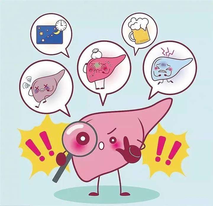 肝脏健康生活方式对比图