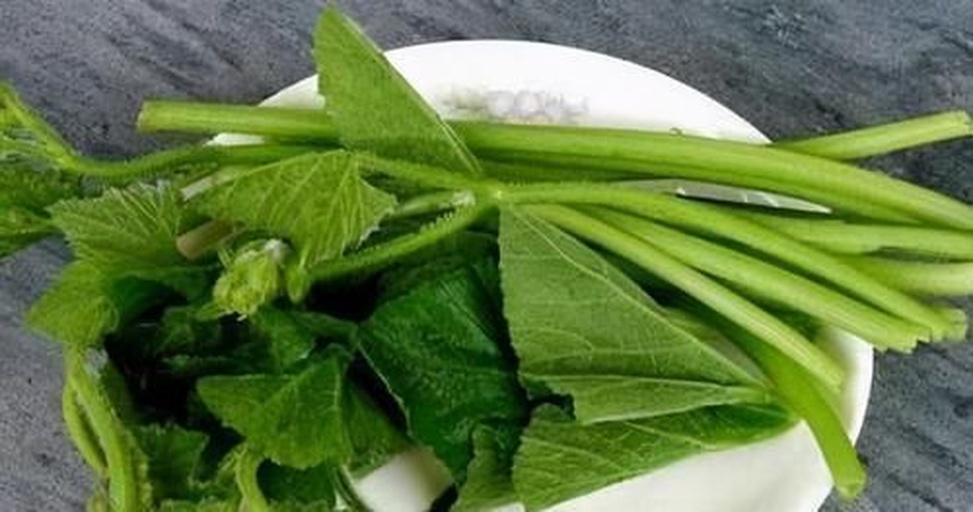 一个透明玻璃碗中盛放着刚采摘回来的新鲜南瓜藤尖,顶部嫩芽卷曲,叶片完整,茎秆细嫩,背景为厨房操作台,旁边摆放一把不锈钢剪刀和一块白色毛巾 图片描述