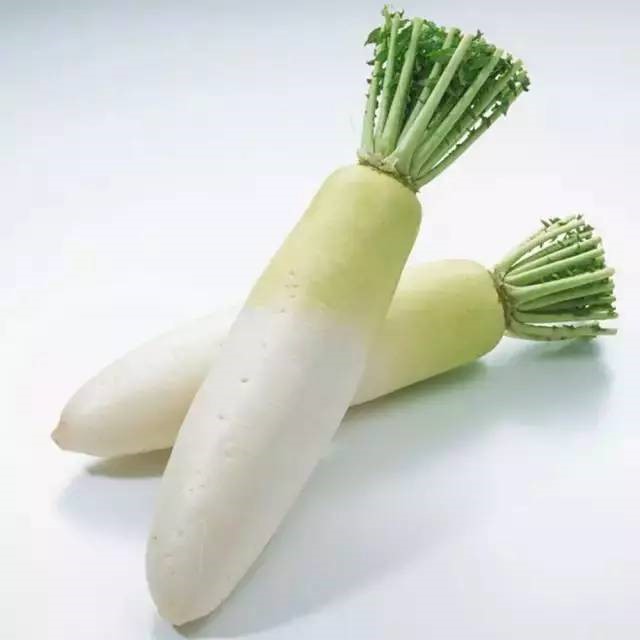 白萝卜横切结构特写：可见乳白色致密肉质根，中心维管束呈淡黄色放射状排列，表面附着微细气孔与浅沟纹